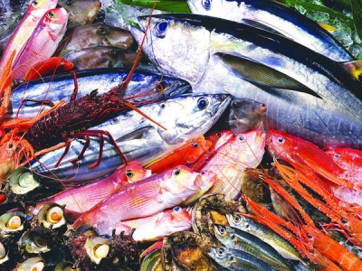 武漢海魚