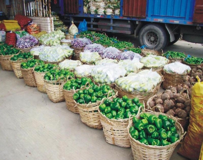 北京蔬菜